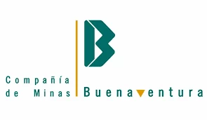 Bu